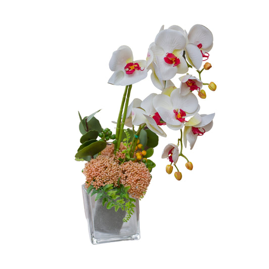 Beautiful tropical orchid flower and clear vase